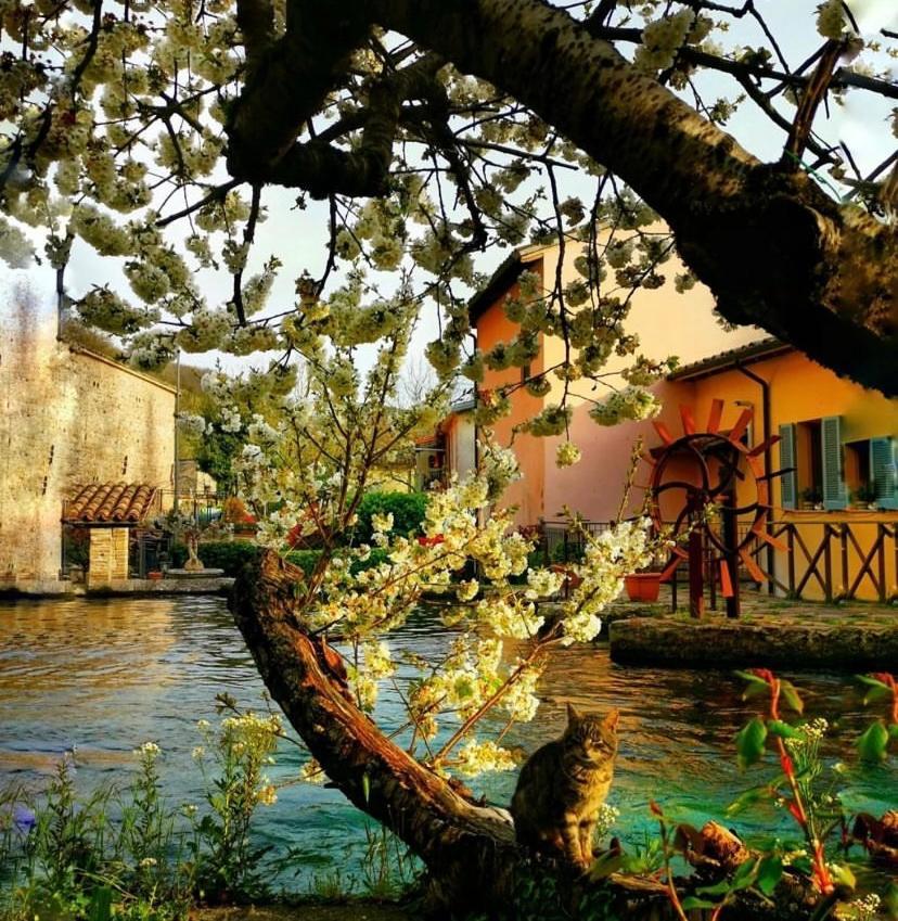 Agriturismo Pettino Campello sul Clitunno Exterior foto